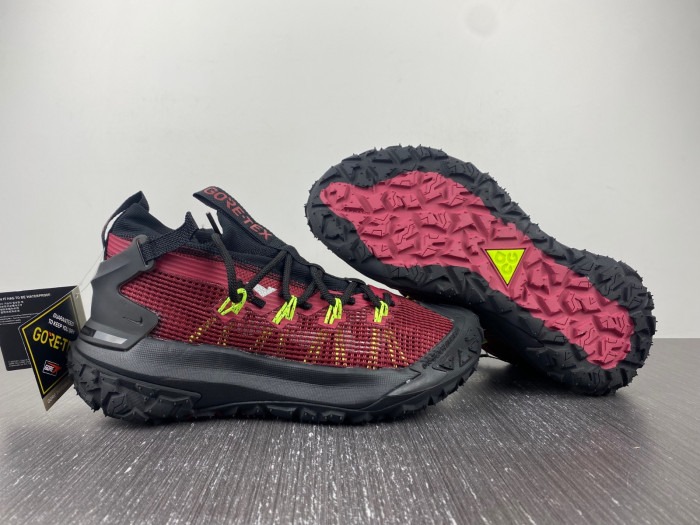 Nike ACG MOUNTAIN FLY LOW 