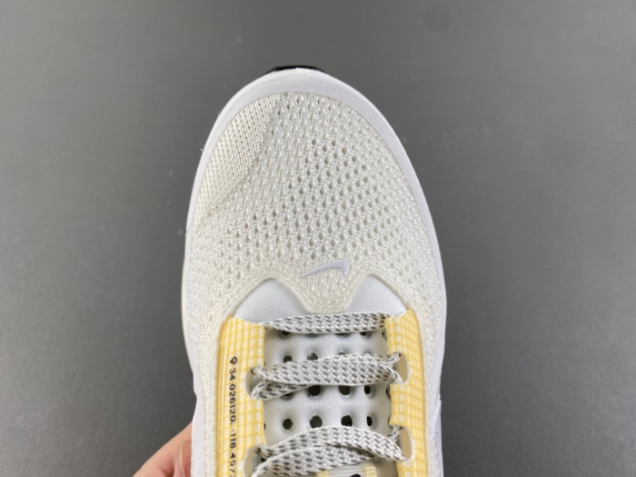 nike pegasus preM1vm 