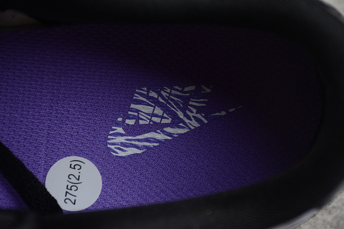 NIKE DUNK LOW "WORLD CHAMP" DR9511-100