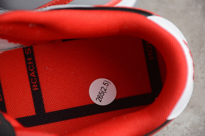 Nike Dunk Low "CAU" DR6189-001