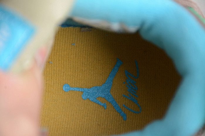 Union LA Air Jordan 4 30th Anniversary DJ5718-242