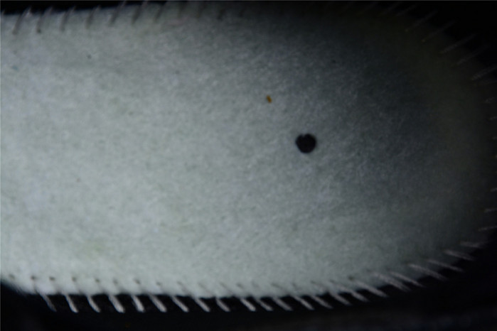 Nike Vapormax Flyknit 2021 Oreo DH4088-003